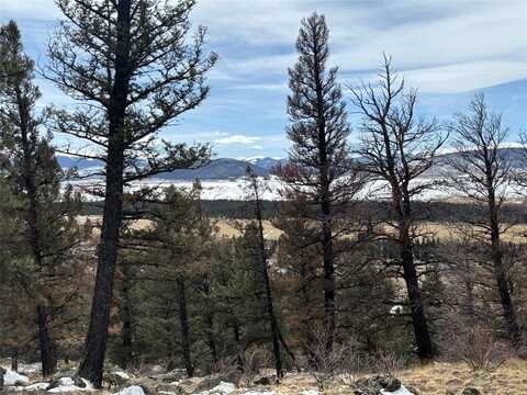 00 BONELL DRIVE, Fairplay, CO 80440