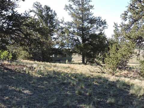 1369 REMINGTON ROAD, Como, CO 80432