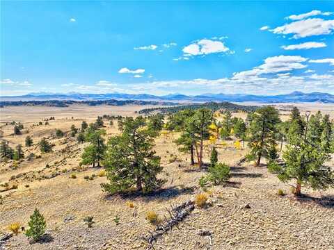 3433 DOG CHIEF TRAIL, Hartsel, CO 80449