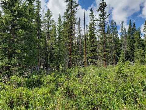 585 PORCUPINE ROAD, Fairplay, CO 80440