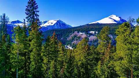 1013 RANGE ROAD, Breckenridge, CO 80424