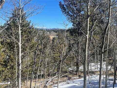 83 KILLDEER TRAIL, Como, CO 80432