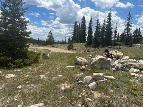 4 TIMBERLINE TRAIL, Fairplay, CO 80440