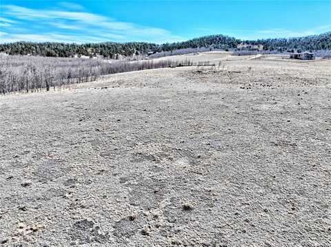 114 NIGHT HAWK CIRCLE, Como, CO 80456