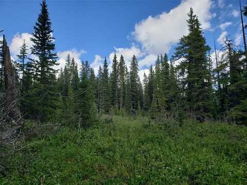 586 EL LOBO LANE, Fairplay, CO 80440