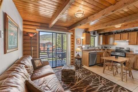 100 COVE BOULEVARD, Dillon, CO 80435