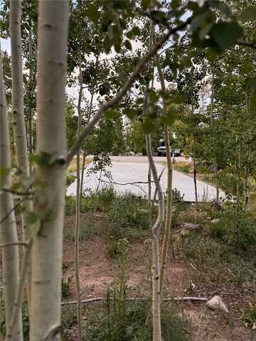 228 SUNSHINE LOOP, Fairplay, CO 80440