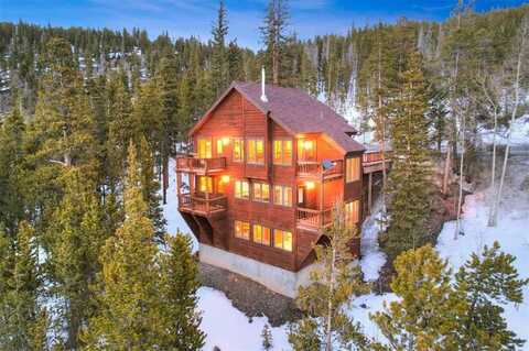 2502 BOREAS PASS ROAD, Breckenridge, CO 80424