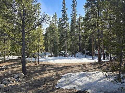 2221 KOOTCHIE KOOTCHIE ROAD, Alma, CO 80420