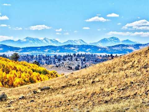 3431 DOG CHIEF TRAIL, Hartsel, CO 80449