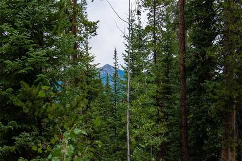 39455 CROWS NEST DRIVE, Clark, CO 80428