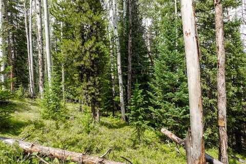 39455 CROWS NEST DRIVE, Clark, CO 80428