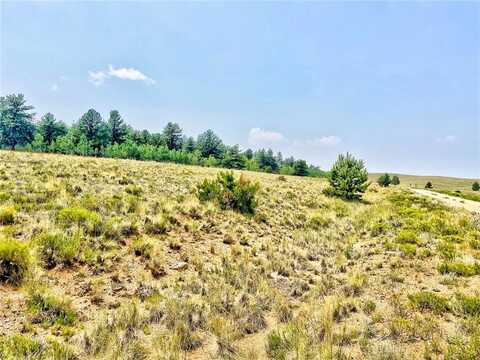887 SUPERSTITION TRAIL, Hartsel, CO 80449