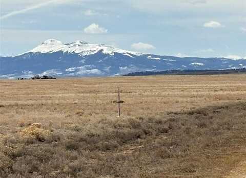 6600 ROUTT ROAD, Hartsel, CO 80449