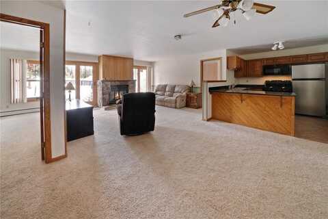 89200 RYAN GULCH ROAD, Silverthorne, CO 80498