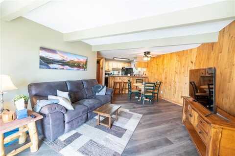 7222 RYAN GULCH ROAD, Silverthorne, CO 80498