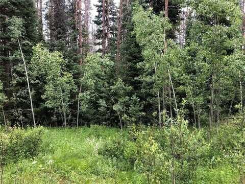 TBD SPRINGBOARD TRAIL, Oak Creek, CO 80467