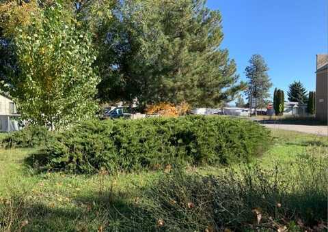 Unassigned Main & 2nd St, Mead, WA 99021