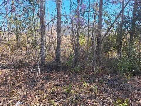 38-200 Lavel Road, Santee, SC 29142