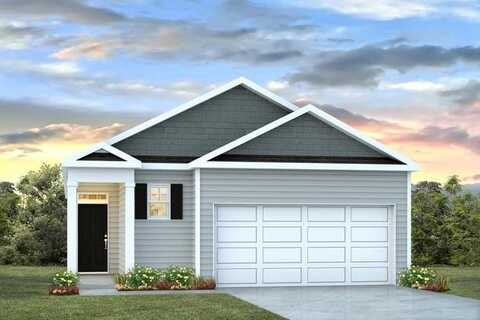 1174 Mulligan Drive, Manning, SC 29102