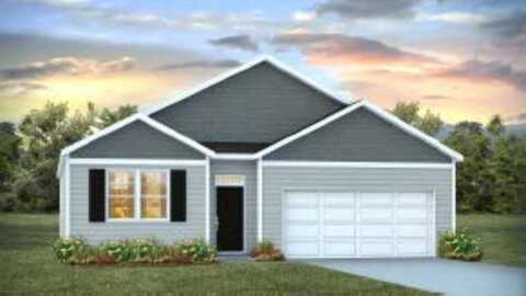 1107 Mulligan Drive, Manning, SC 29102