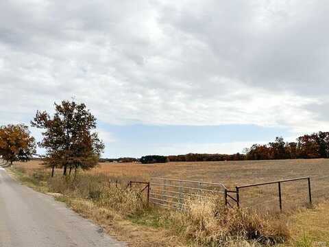 10 Acres m/l County Road 2100, Saint James, MO 65559
