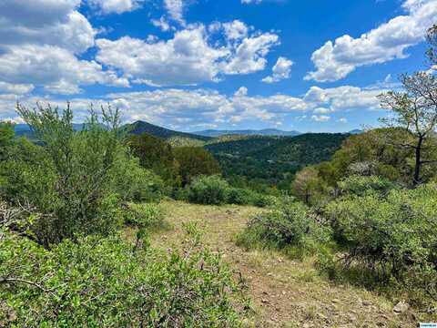 Tbd XYZ Ranch Road, Silver City, NM 88061
