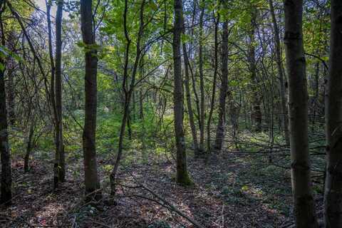 Lot 4 20th Street, Necedah, WI 54646