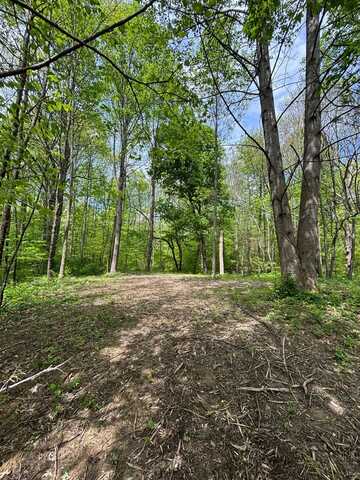 0 N Delaware Road, Milan, IN 47031