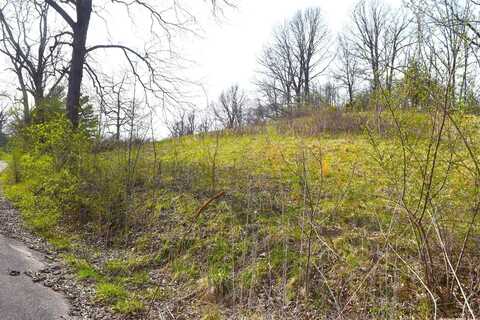 17078 Pine Hill, Metamora, IN 47030