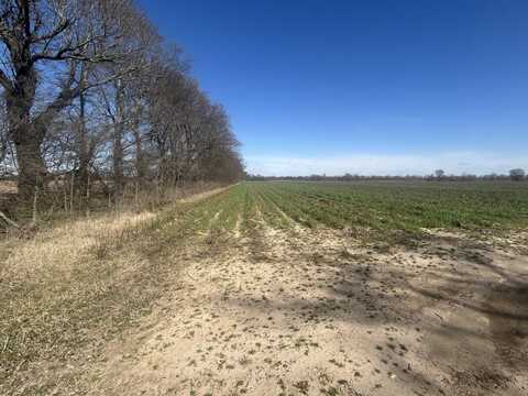 0 Hwy Y Rear L, Hornersville, MO 63855