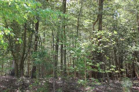 1780 YEOMAN CT, GREENBACKVILLE, VA 23356