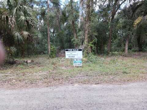 800 4th AVE (911 Address), Welaka, FL 32193