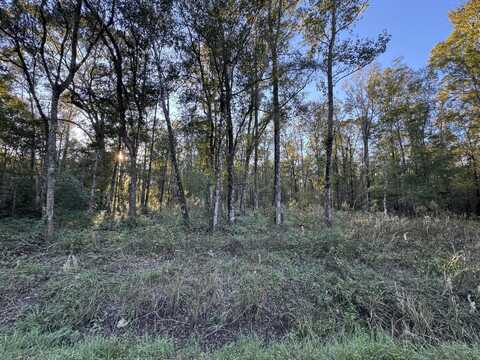 10175 Yeager Ave, Hastings, FL 32145