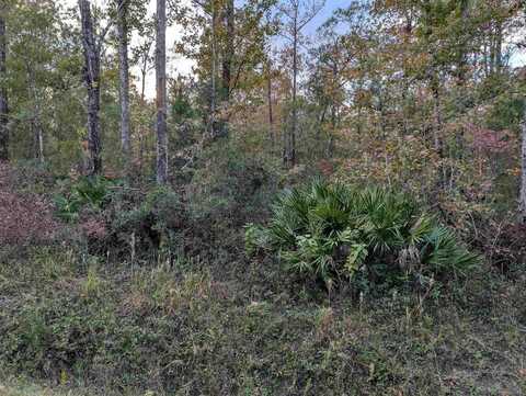 10655 Turpin Ave, Hastings, FL 32145