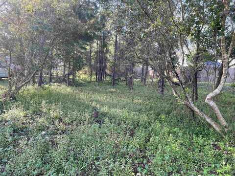 3381 3Rd St, Elkton, FL 32033