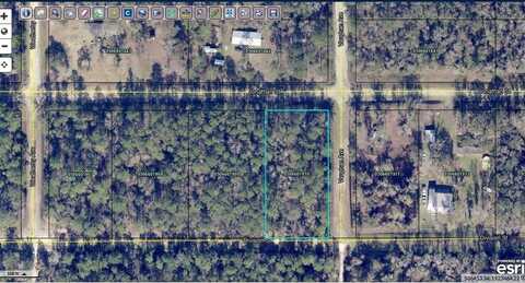 5005 Jonathan Street, Hastings, FL 32145