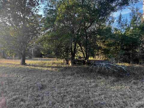 216 Nova Scotia St, Interlachen, FL 32148