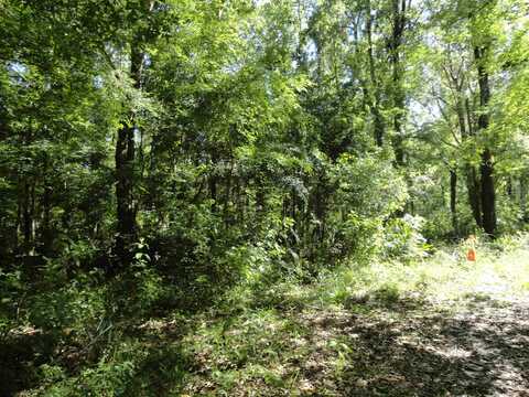 1115 OAK RIDGE RD, Saint Augustine, FL 32086