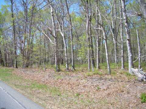 0 mazzini, Buena, NJ 08310