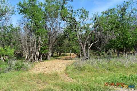 000tbd Caney Creek Road, New Braunfels, TX 78130
