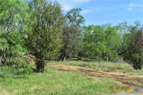 000tbd Caney Creek Road, New Braunfels, TX 78130