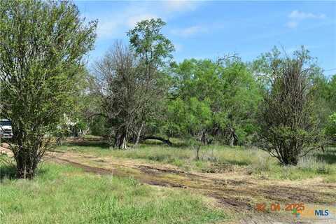000tbd Caney Creek Road, New Braunfels, TX 78130