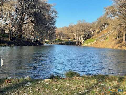 917 Gruene Place Drive, New Braunfels, TX 78130