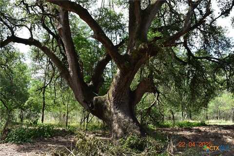 240 Caney Creek Road, New Braunfels, TX 78130