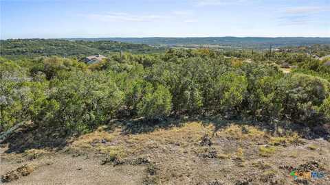 319 Toucan Drive, Spring Branch, TX 78070