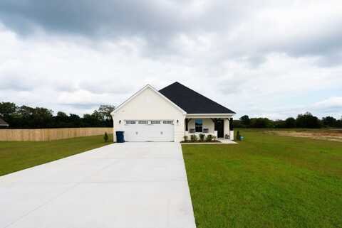 1017 Sandbed Road, Newton, AL 36350