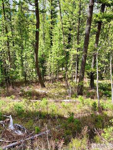 4256 Mountain View Drive, Island Park, ID 83429