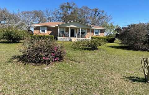 5189 Hwy 45, Iron City, GA 39859