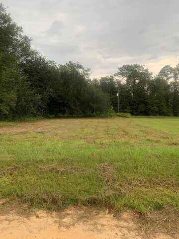 16,17 Roy Hodges Road, Donalsonville, GA 39845
